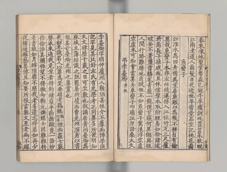 東坡集 著者蘇軾（宋）宋刊本0101