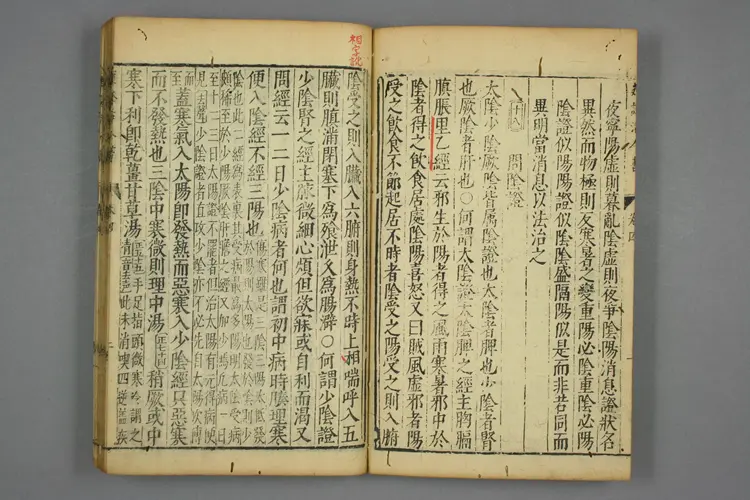 伤寒活人书（4-10卷）