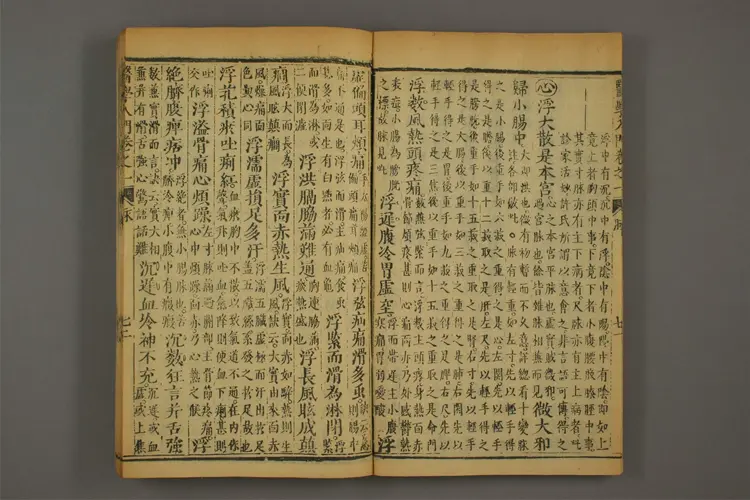 医学入门卷四 医学入门卷四