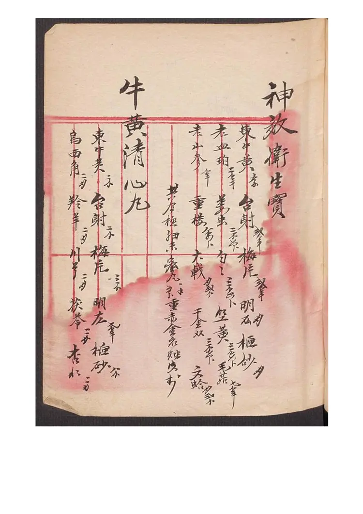 李振芳 成药方63页 李振芳 成药方63页