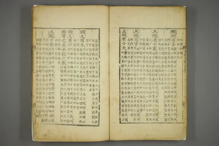 东医宝鉴卷五 东医宝鉴卷五