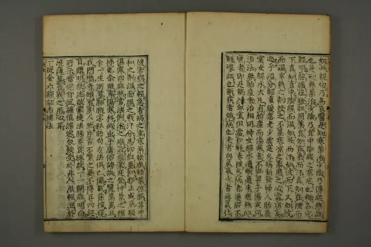 伤寒六书(卷五一提金,卷六截江纲) 伤寒六书(卷五一提金,卷六截江纲)