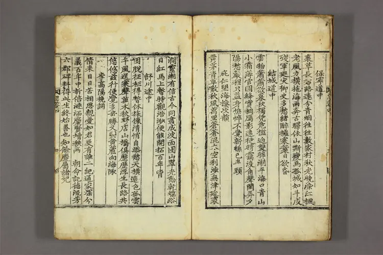 思菴先生集 詩集,文集合部  朴淳撰