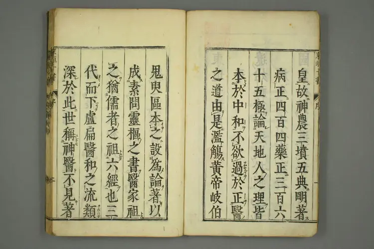 东垣十书卷一 东垣十书卷一