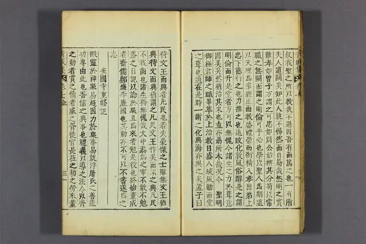 青城集 卷之1-10  成大中著