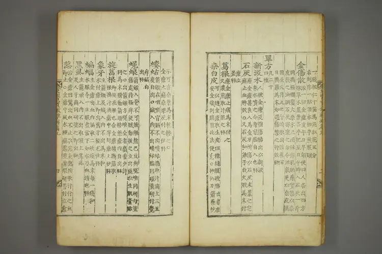 东医宝鉴卷十九