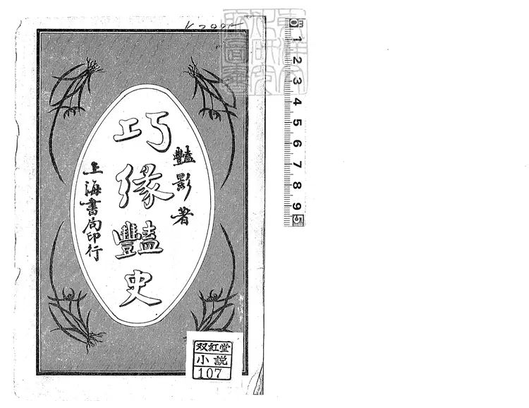 930 新編巧緣豔史十二回　民國十一年上海書局排印本