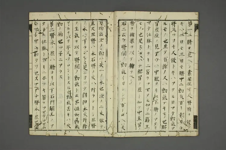 复诊之传 复诊之传