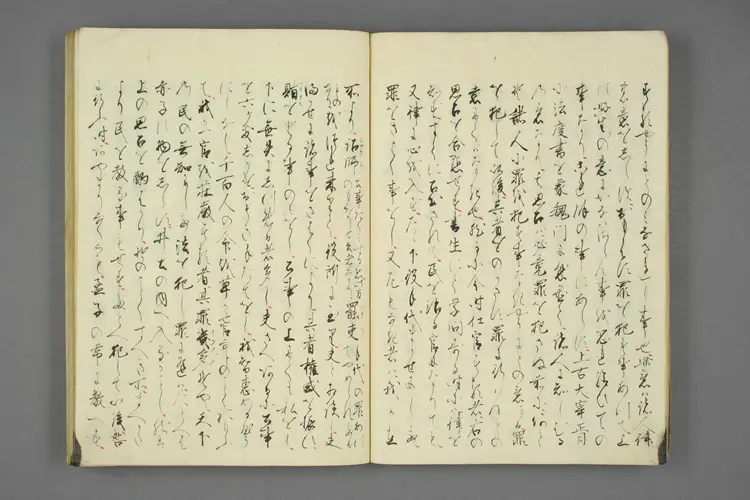 大明律例訳義 大明律例訳義