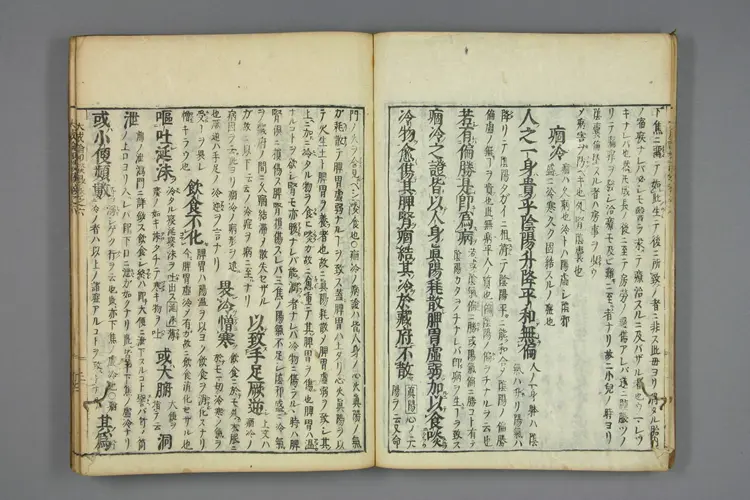 医方大成论和语抄卷六 医方大成论和语抄卷六