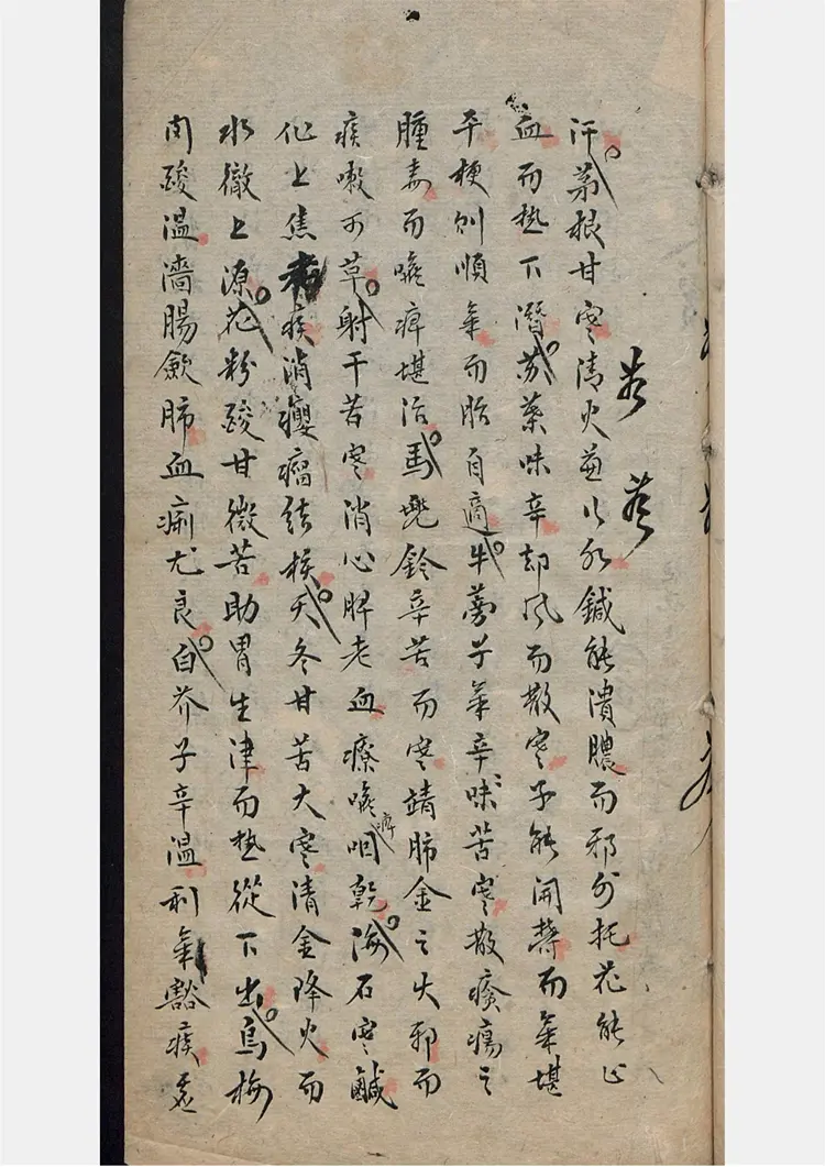 程氏分经药性赋 程氏分经药性赋