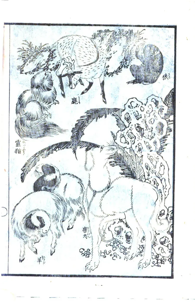 伝心画镜 伝心画镜