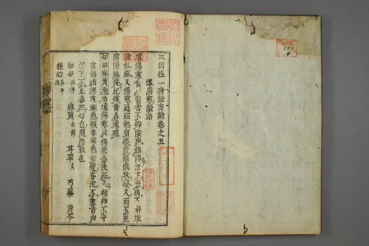 三因极一病证方论卷五、六 三因极一病证方论卷五、六