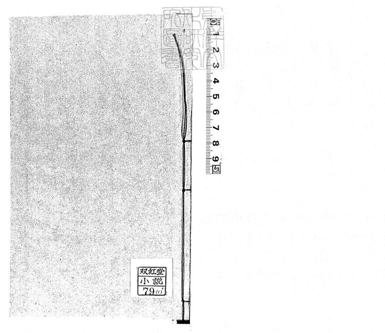 904 引鳳簫十六回　清刊本