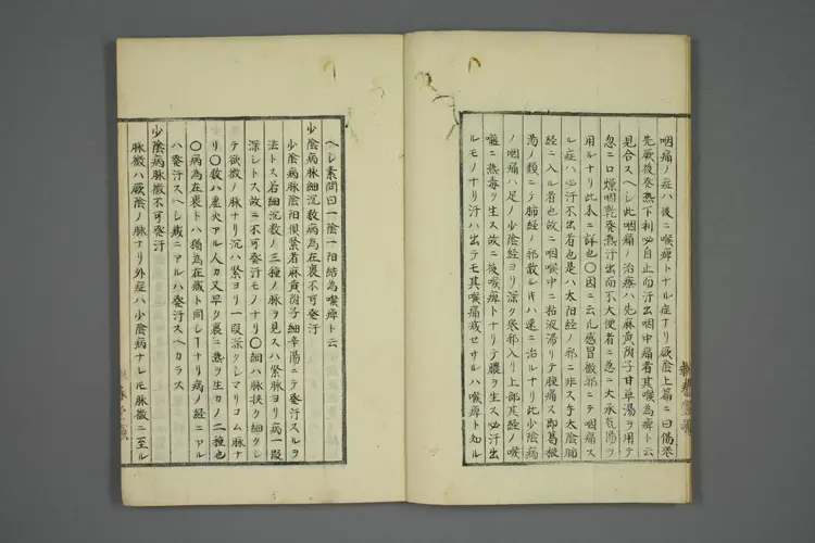 伤寒五种传卷五 伤寒五种传卷五