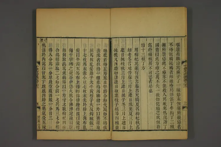 千金方衍义卷二十九