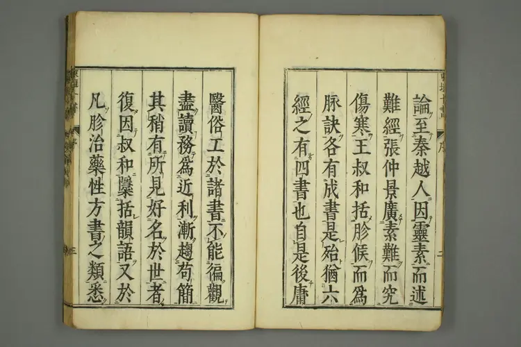 东垣十书卷一 东垣十书卷一