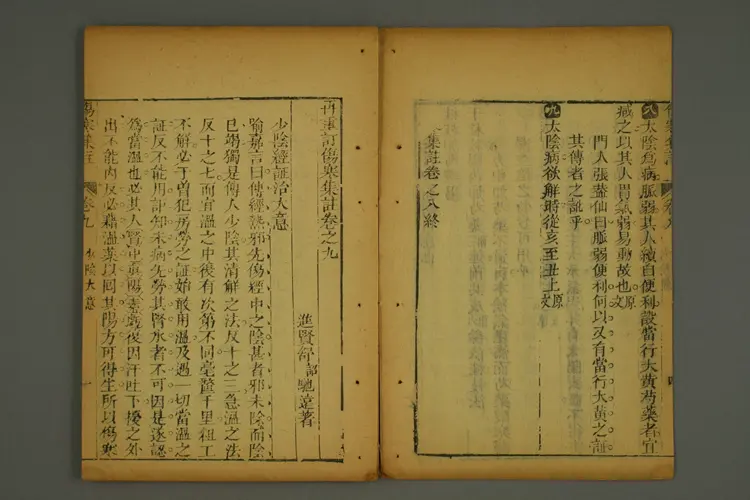 伤寒集注卷四 伤寒集注卷四