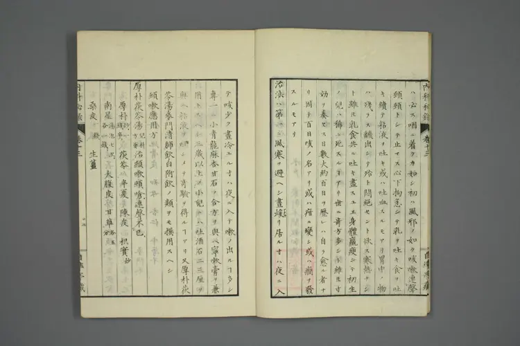 内科秘录卷十三