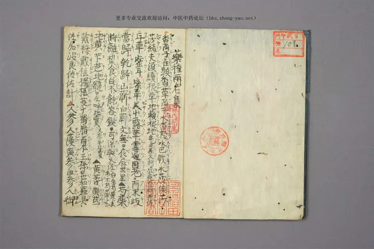 孤版手抄:药种两名集 孤版手抄:药种两名集