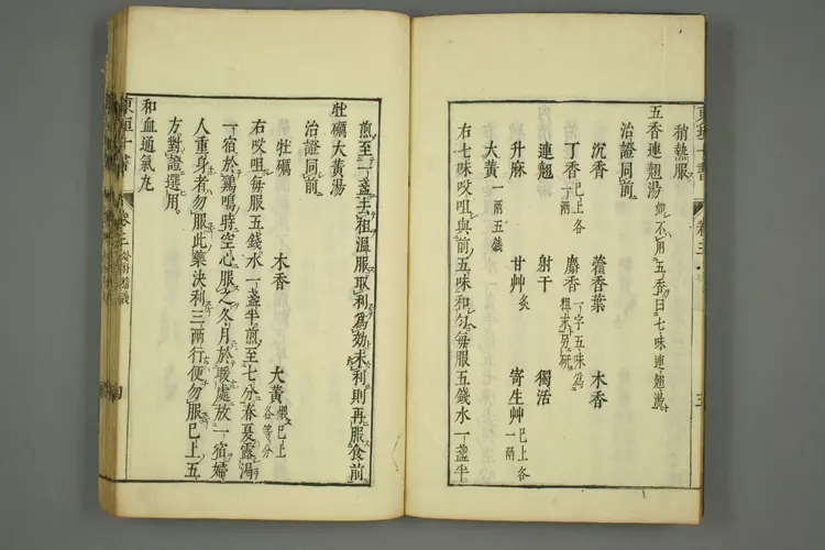 东垣十书卷二十