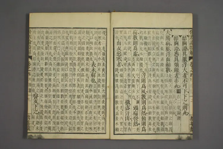 伤寒论特解卷四 伤寒论特解卷四