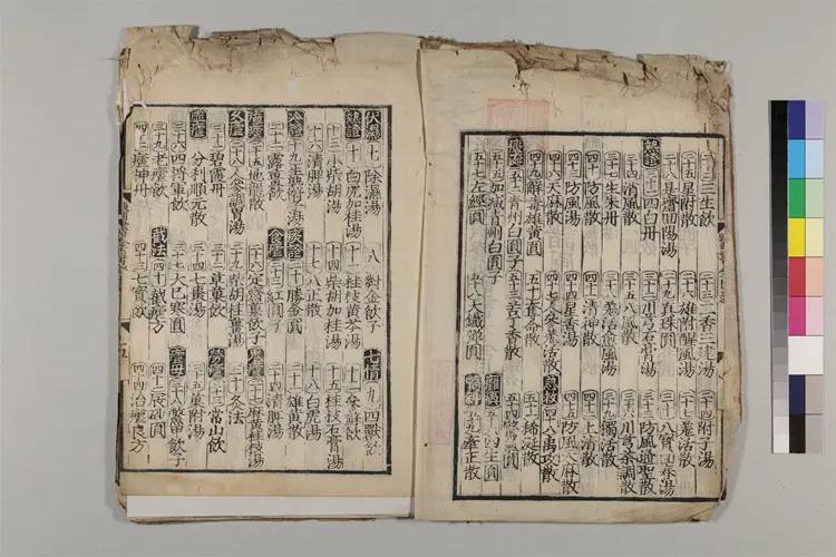 (新編名方類証)医書大全 16巻