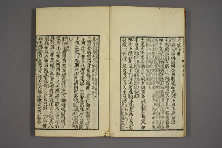 伤寒证治准绳卷五 伤寒证治准绳卷五