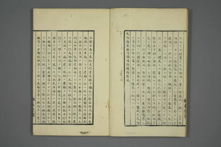 伤寒五种传卷二 伤寒五种传卷二