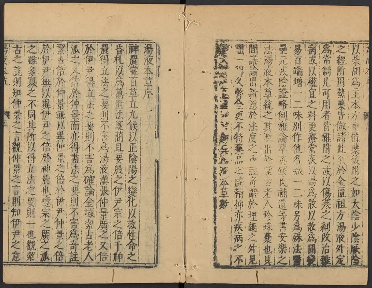 哈佛大学版汤液本草 哈佛大学版汤液本草