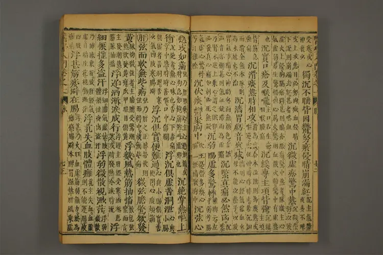 医学入门卷四 医学入门卷四