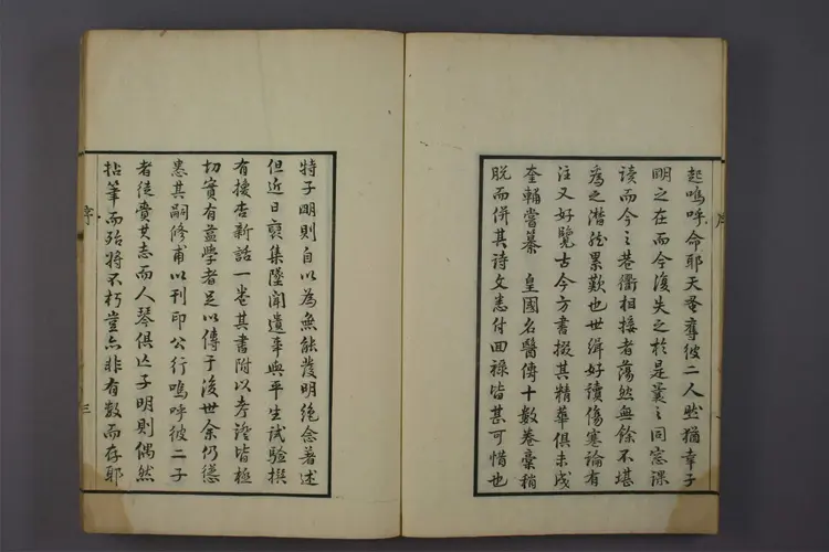 换杏新话 换杏新话