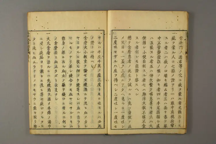 外科训蒙图汇 外科训蒙图汇