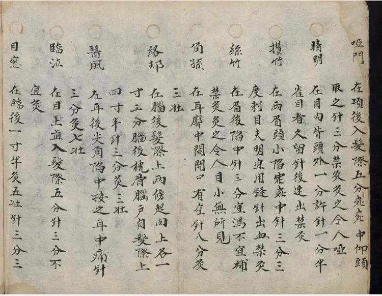 中医手抄本一一鬼门十三针法