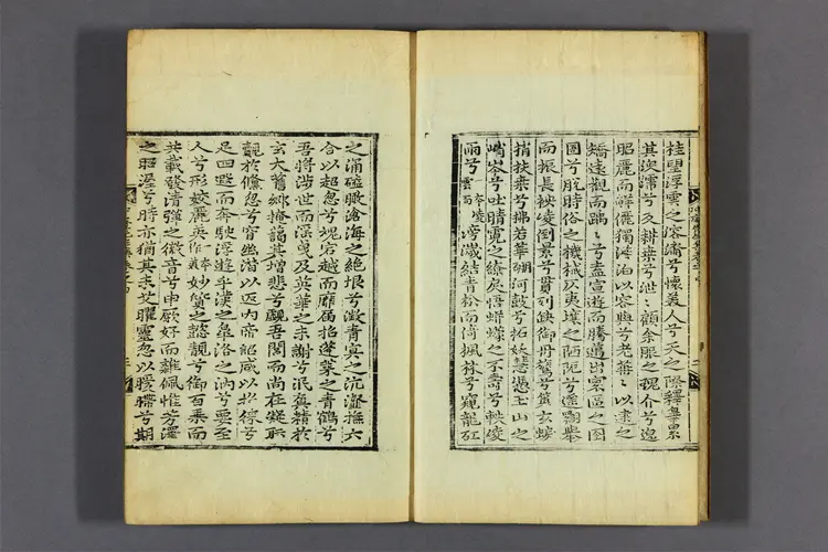 冲庵先生集 卷之1-5  金浄撰