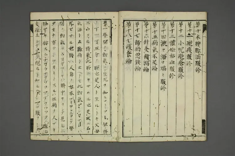 复诊之传 复诊之传