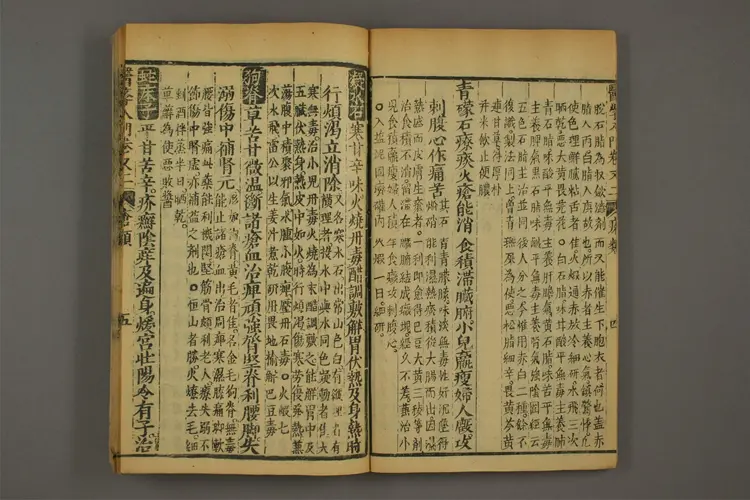 医学入门卷七 医学入门卷七