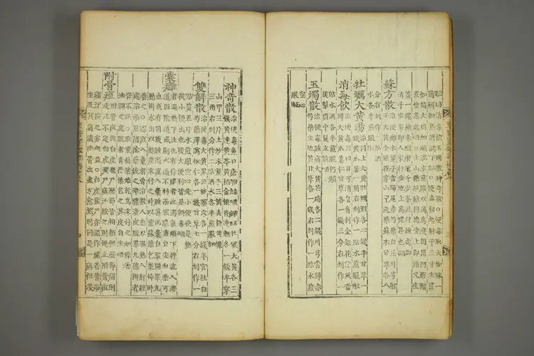 东医宝鉴卷十八 东医宝鉴卷十八