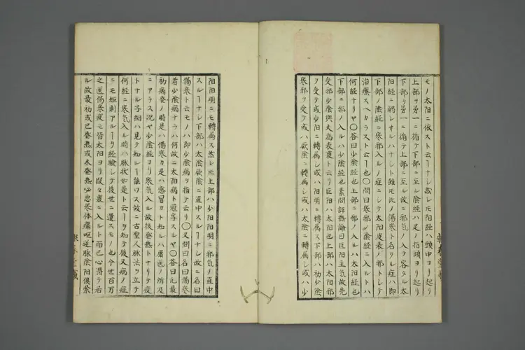 伤寒五种传卷九 伤寒五种传卷九