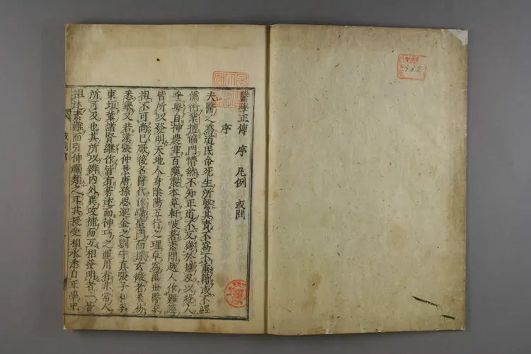 医学正传或问 医学正传或问