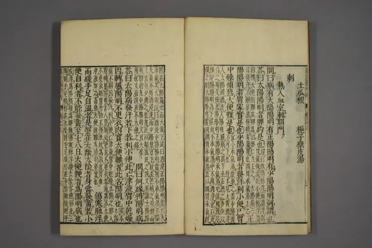 伤寒证治准绳卷三 伤寒证治准绳卷三