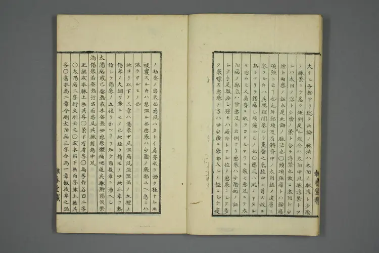 伤寒五种传卷二 伤寒五种传卷二