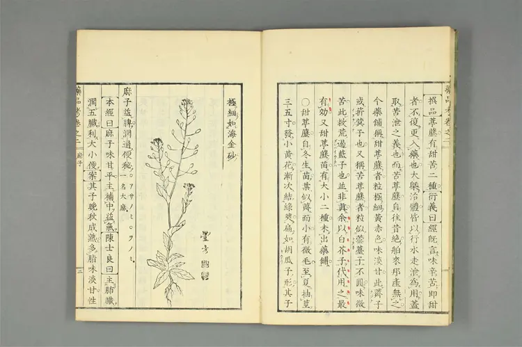 增补古方药品考卷二 增补古方药品考卷二