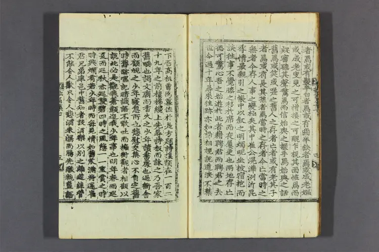 拙翁集 卷之1-10  洪聖民撰