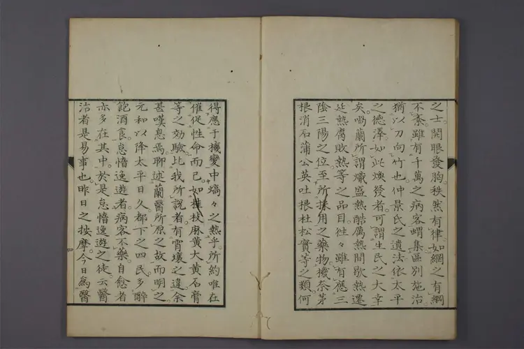 告病伤寒瘟疫家说