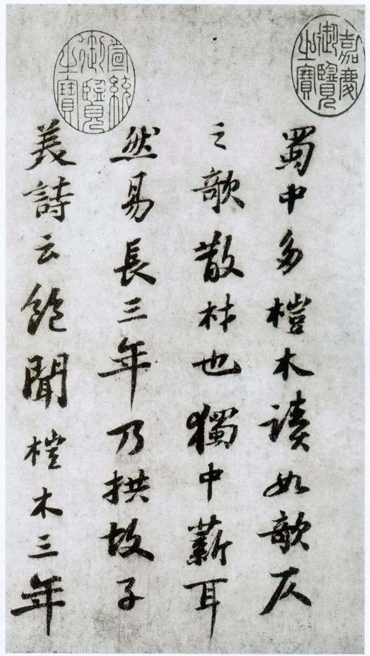 宋朝苏轼行书杜甫桤木诗卷帖