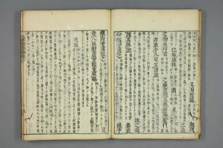 医方大成论和语抄卷六 医方大成论和语抄卷六