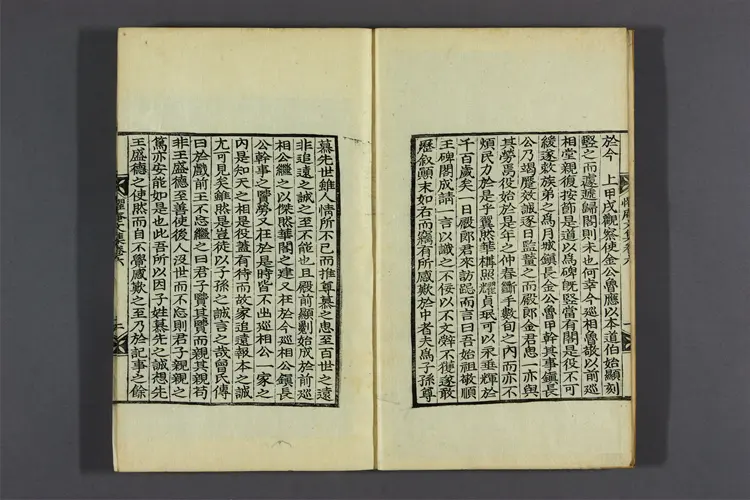 懼菴先生文集 卷之1-9  李樹仁撰