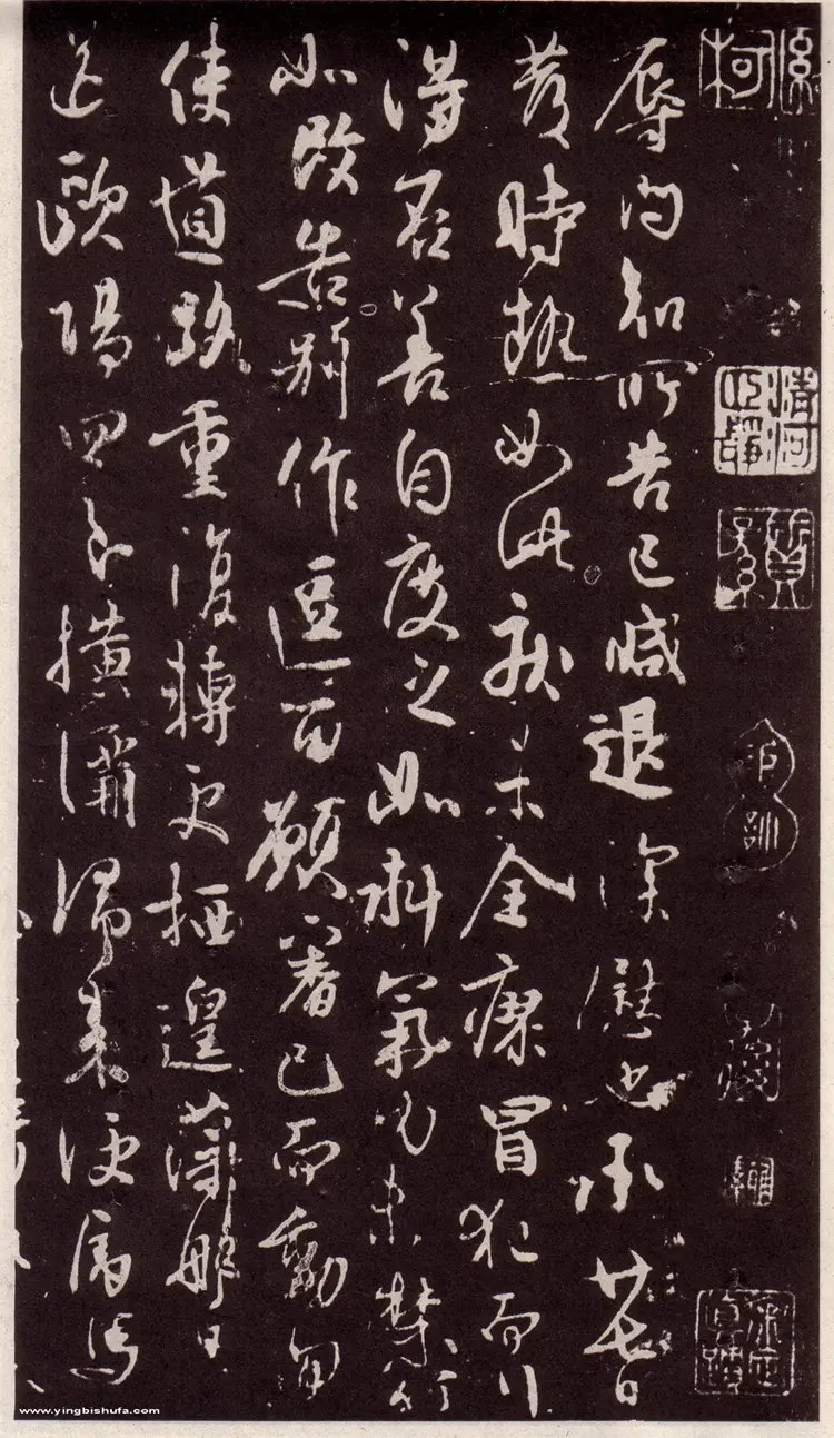 唐代林藻草书深慰帖书法作品欣赏