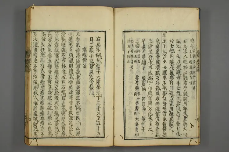 三因极一病证方论卷十五、十六 三因极一病证方论卷十五、十六